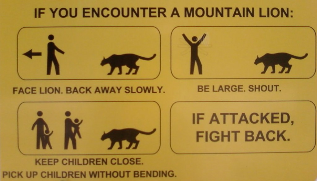 confrontation-maintain-safety